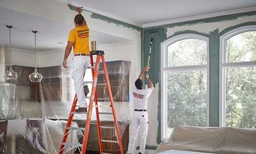 Increasing Your Home’s Splendor with Grasp Color Organization – Sydney’s Premier Residential Painting Authorities