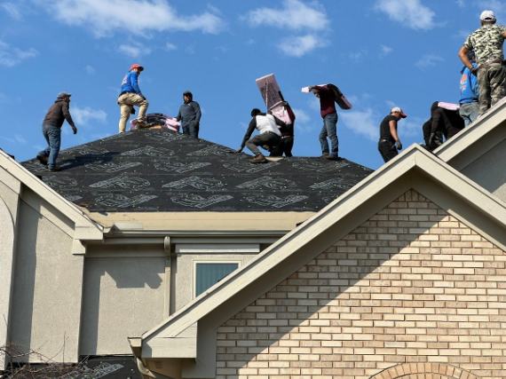 What To Look For in a Roofer? A Guide to Finding a Reliable Roofer